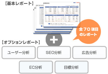 基本レポート+オプションレポート