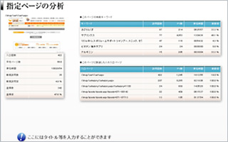 指定ページの分析