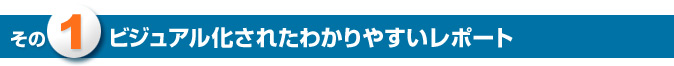 その1　ビジュアル化されたわかりやすいレポート
