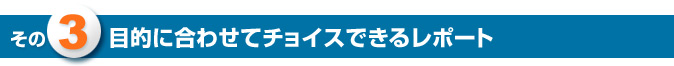 その3　目的に合わせてチョイスできるレポート